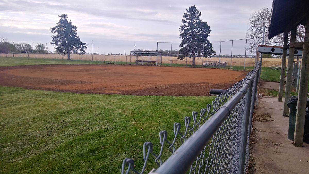 Salix Ballfield