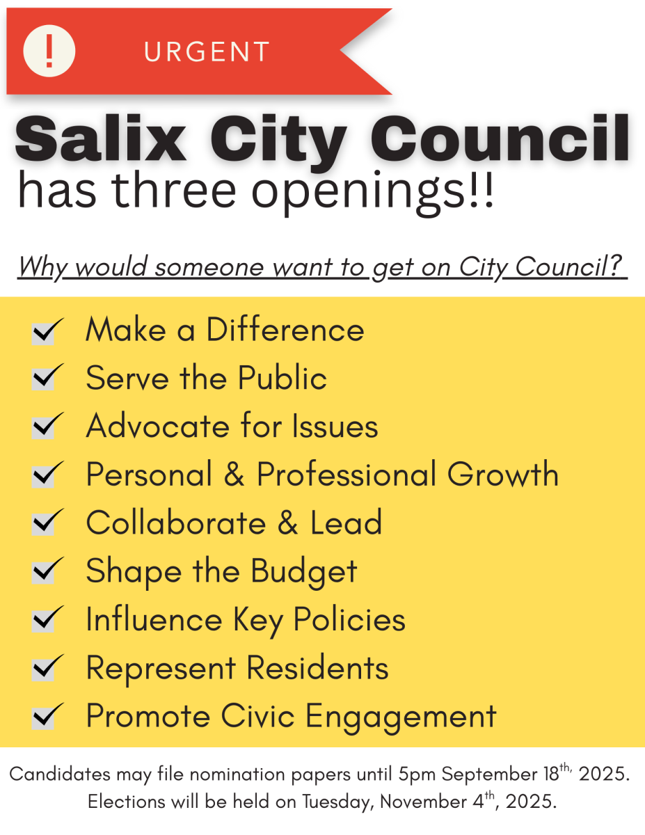 City Council Needs 